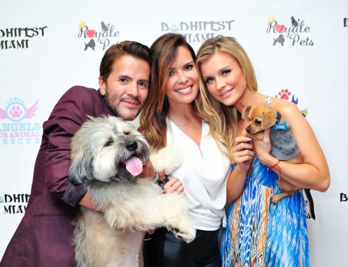 All Dogs Adopted at Paws for Prayers Hosted By Joanna Krupa