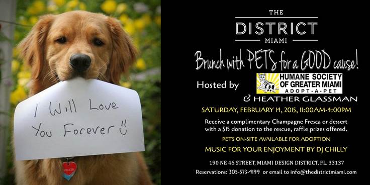 Valentines Day With The District Miami & Humane Society of Greater Miami - Miami Social Magazine-